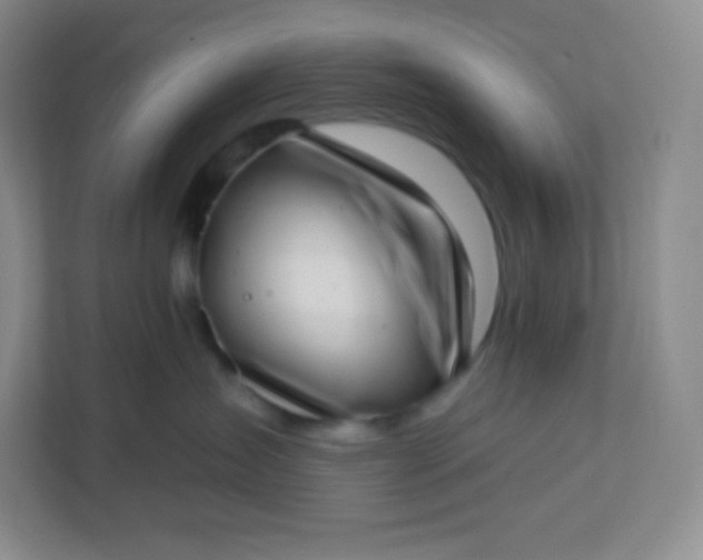 X0000113320431200909281211