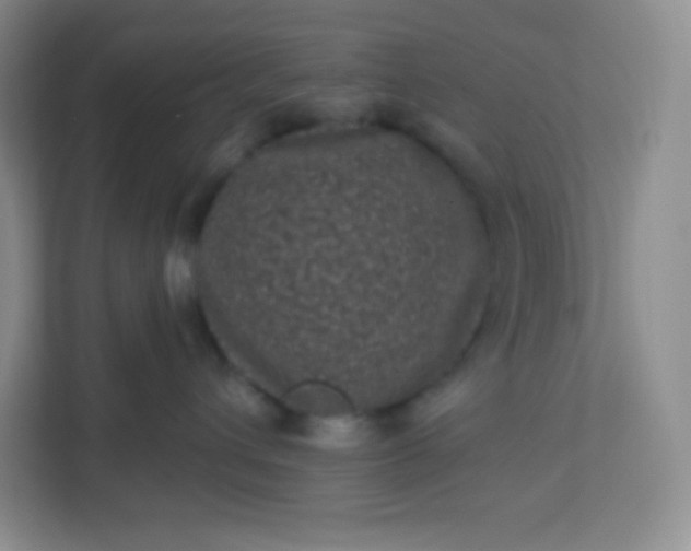 X0000113320432200909281211