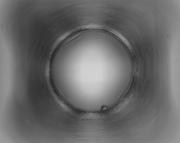 X0000113320437200909281211