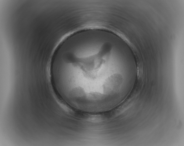 X0000113320438200909281211