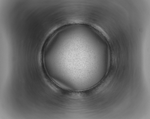 X0000113320439200909281211