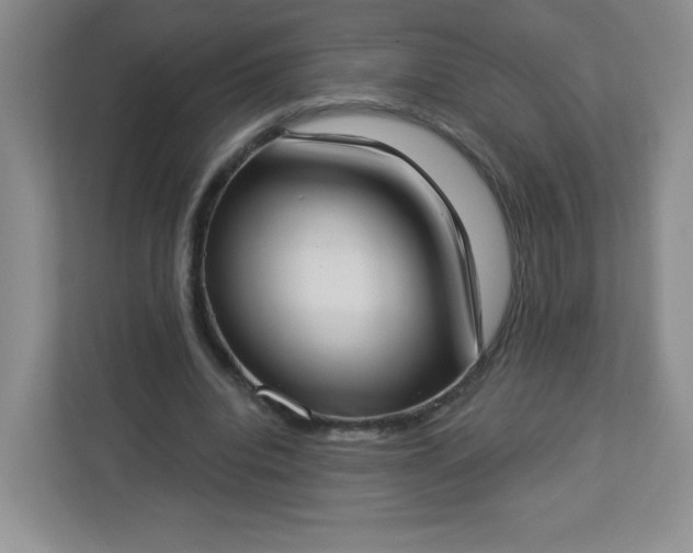 X0000113320440200909281211