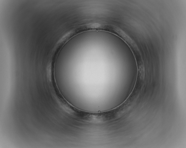 X0000113320442200909281211