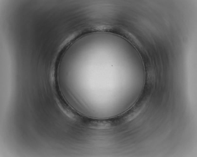 X0000113320443200909281211