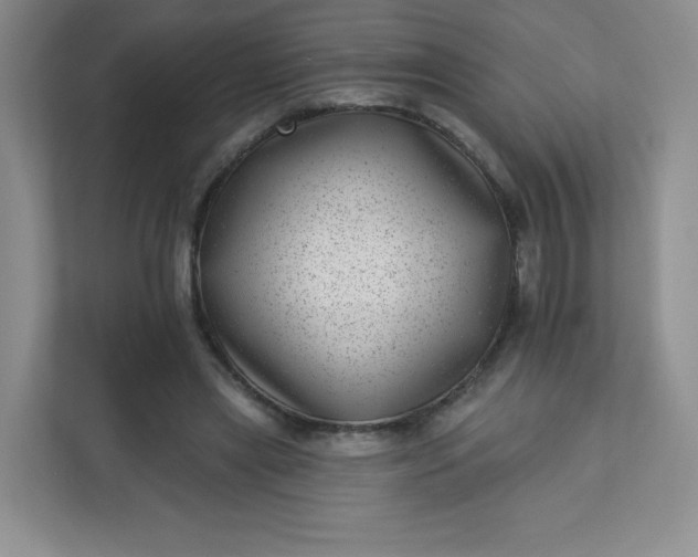 X0000113320445200909281211