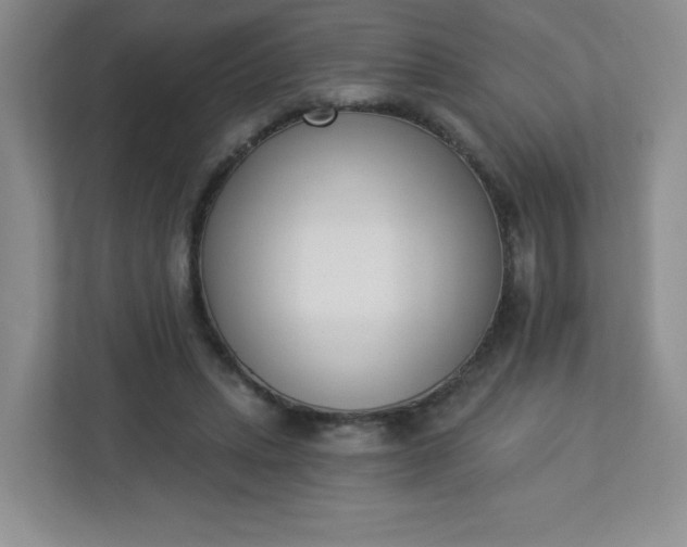 X0000113320447200909281211