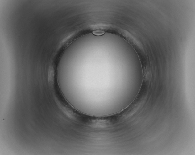 X0000113320448200909281211