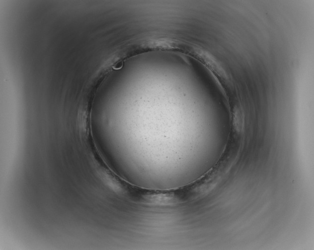 X0000113320449200909281211