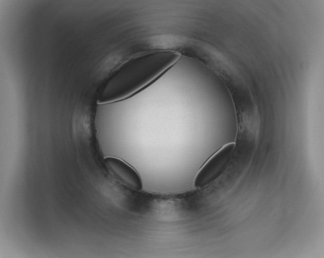 X0000113320452200909281211