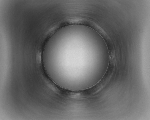 X0000113320454200909281211