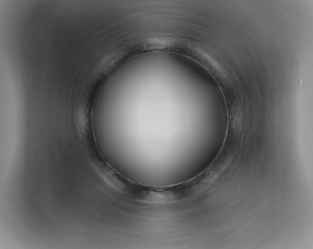 X0000113320455200909281211