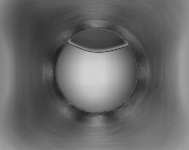 X0000113320456200909281211