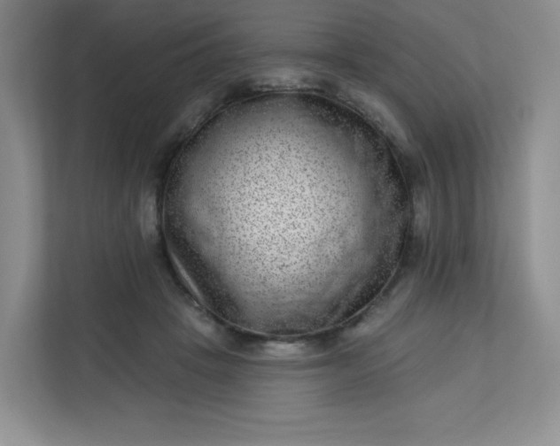 X0000113320457200909281211