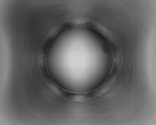 X0000113320462200909281211