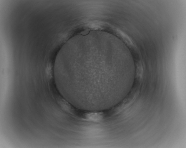 X0000113320465200909281211