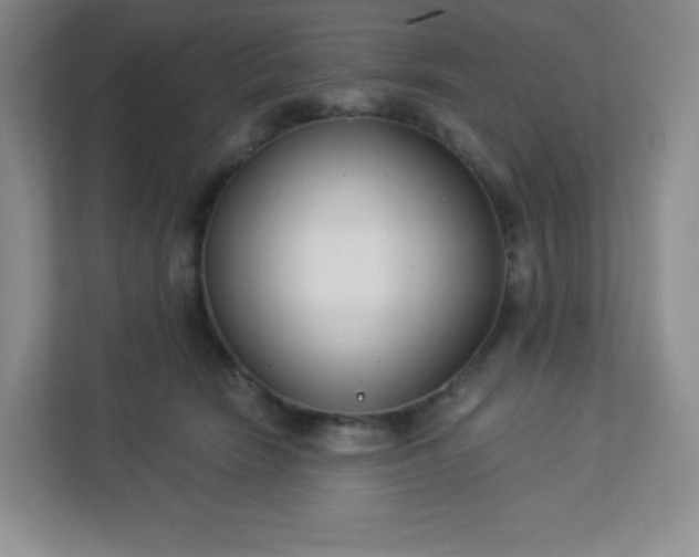 X0000113320466200909281211