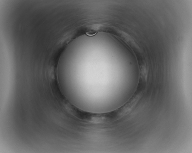 X0000113320470200909281211