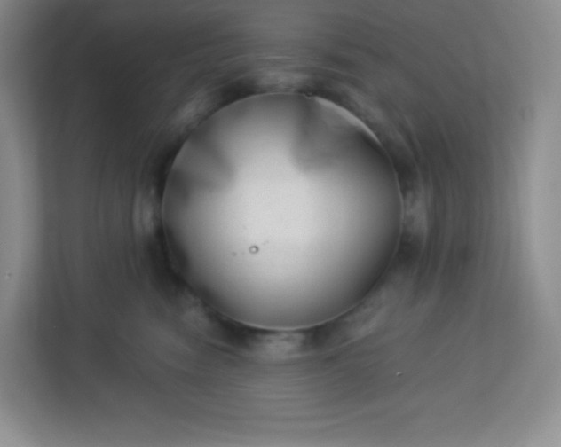 X0000113320474200909281211