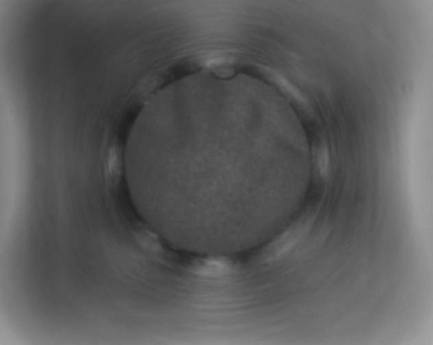 X0000113320475200909281211