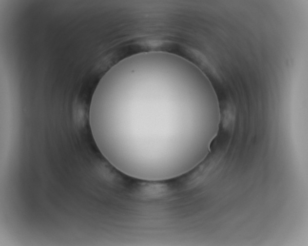 X0000113320476200909281211