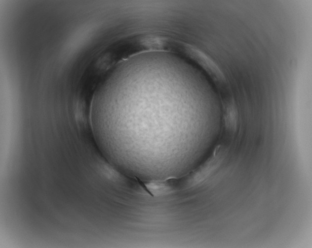 X0000113320477200909281211