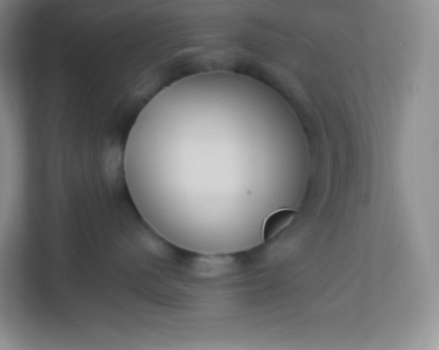 X0000113320480200909281211