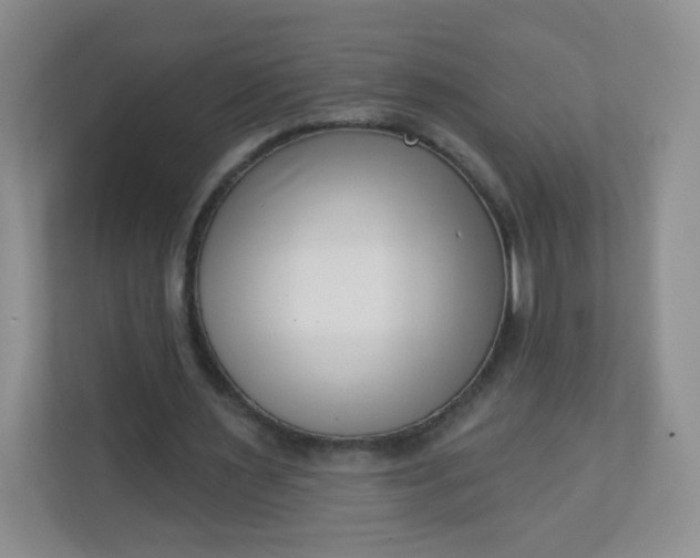 X0000113320483200909281210