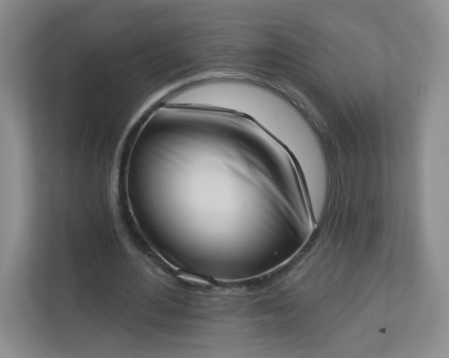 X0000113320484200909281210