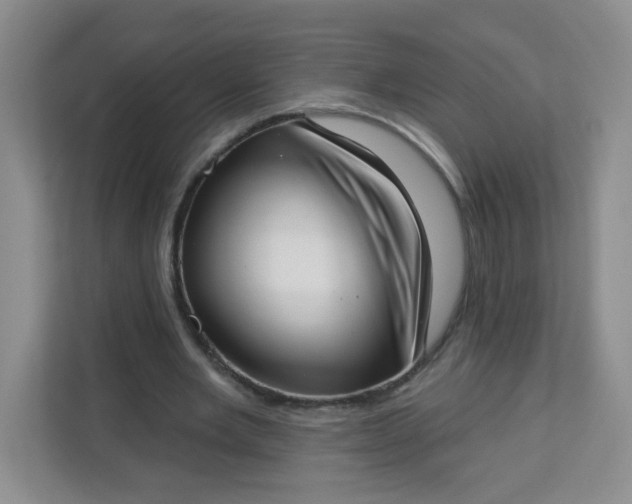 X0000113320485200909281210