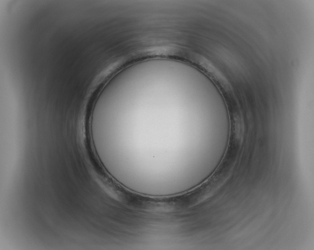 X0000113320486200909281210