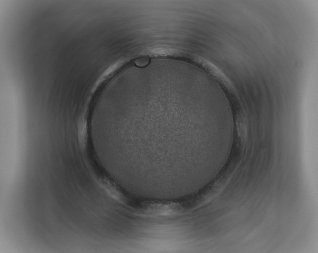 X0000113320488200909281210