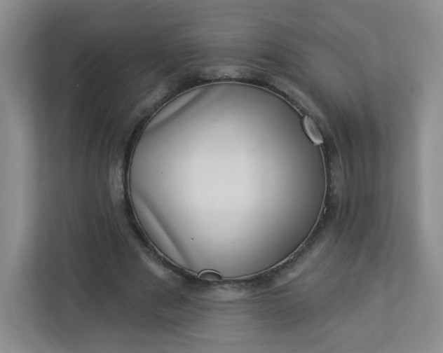 X0000113320489200909281210