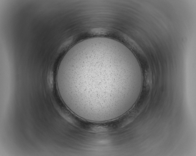 X0000113320494200909281210