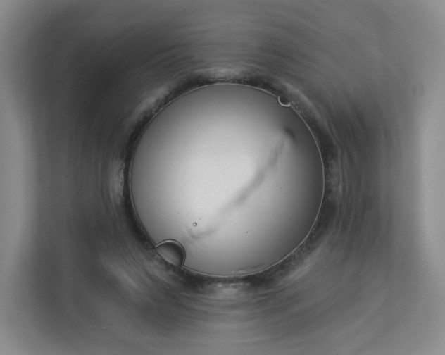 X0000113320495200909281210