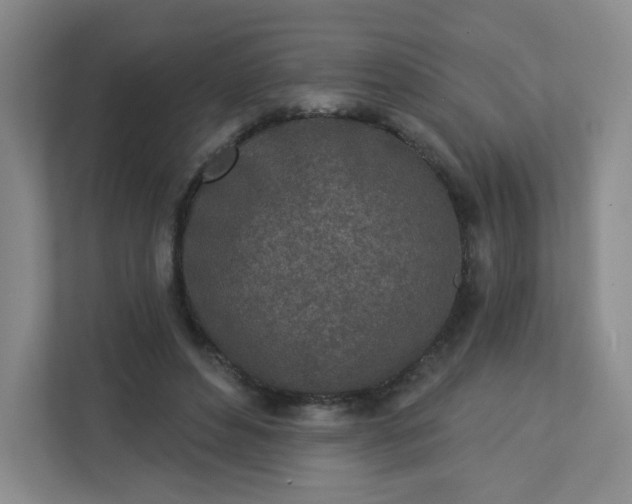 X0000113320496200909281210