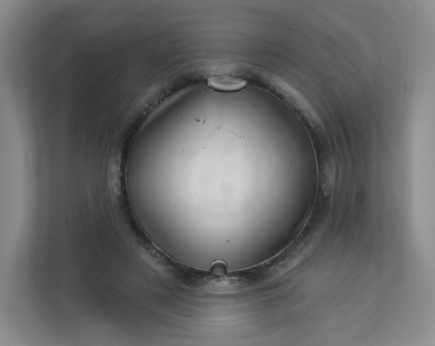 X0000113320497200909281210