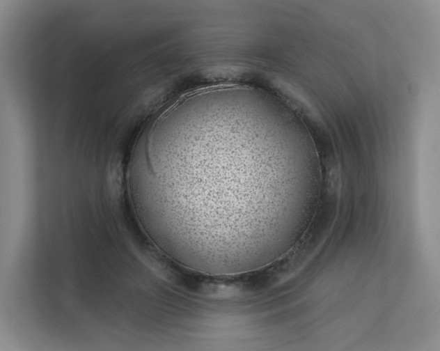 X0000113320498200909281210