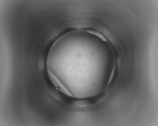 X0000113320499200909281210