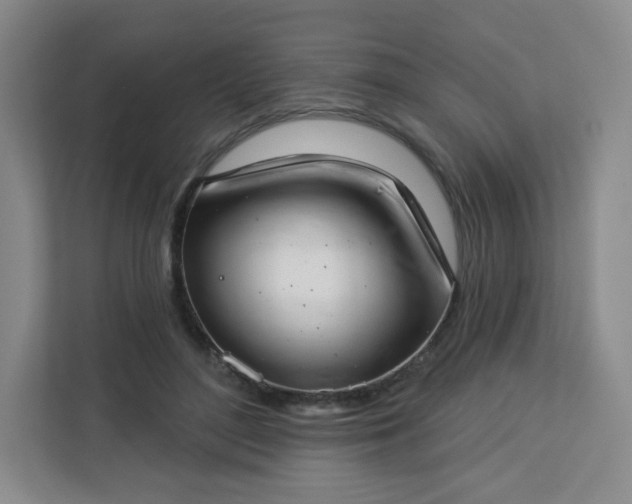 X0000113320500200909281210