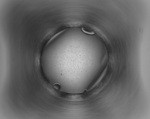 X0000113320501200909281210