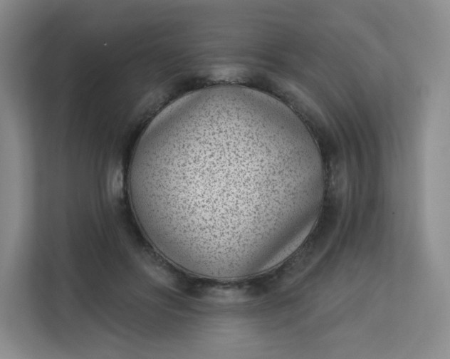 X0000113320502200909281210