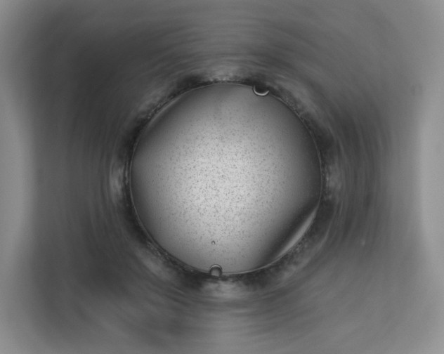 X0000113320503200909281210