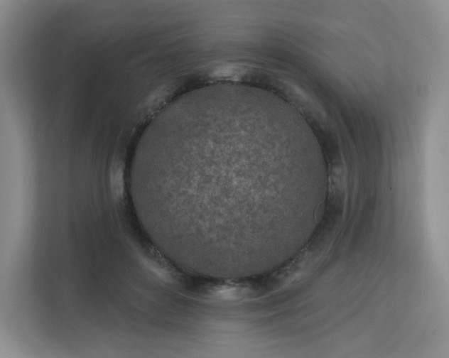 X0000113320504200909281210