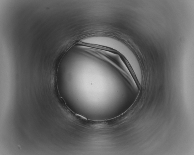 X0000113320505200909281210