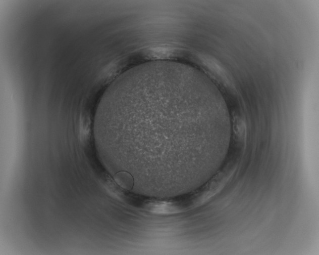 X0000113320507200909281210