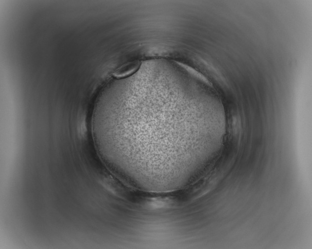 X0000113320508200909281210