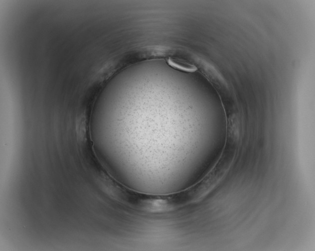 X0000113320509200909281210