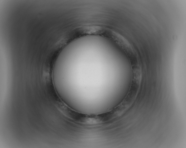 X0000113320510200909281210