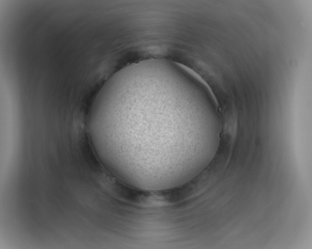 X0000113320518200909281210