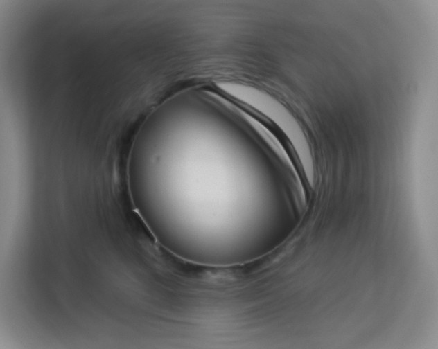 X0000113320520200909281210